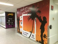 Wall Mural  Wall mural concept, design and installation for Carleton University